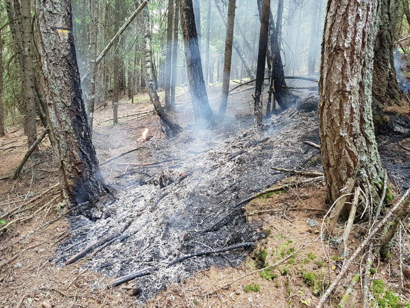 Einsatzdokumentation